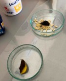 15caaeb9-4002-4478-9026-9ee855733983