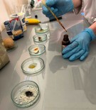 3b6cd10e-0711-4de7-b089-914bda5fa812