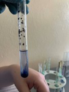 7e473fe2-99e5-494c-8050-77097e02ae1b