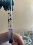 a8d5026f-2193-45b2-8227-5c785df0e908