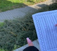 309887125_3270890043225553_1911467909918920196_n