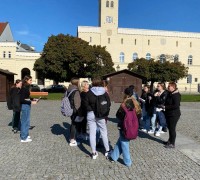 310408206_1105018570401776_8489724633757145443_n