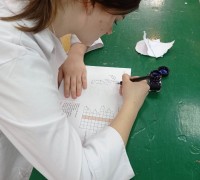 336597302_960703228447762_3633856979717606311_n