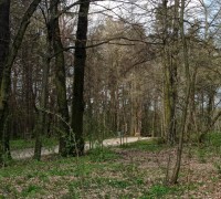 338153465_752976189814492_3579247798236296651_n