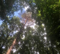 119843582_2558183721138634_4800799946725626948_n