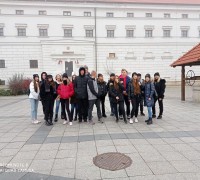 257931635_1022186831894111_4226257349591347753_n