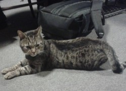 307935700_497640845538781_1125404503565524277_n