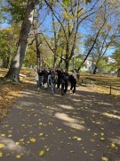 566506926_1156053575954545_734114176994157785_n