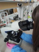 1343ec37-c325-4d27-9a0a-5df0bb70fbd1