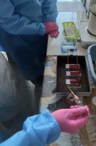 5c5e6808-df94-42f3-a935-803fdd153cd1