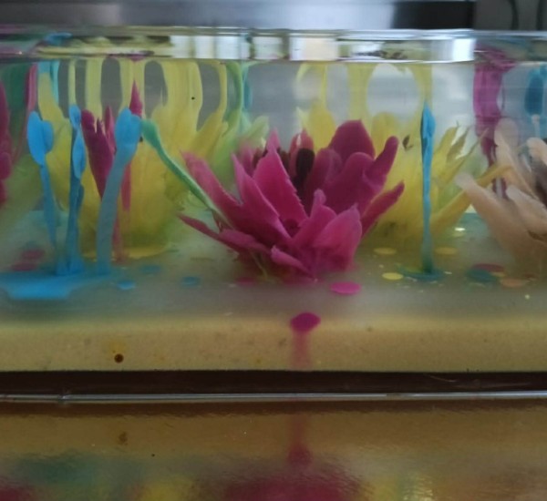 23c2b19d-01bc-48b2-902f-ebf022a1baf7