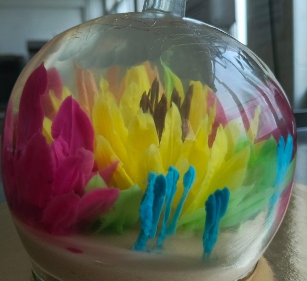 e1499094-4498-44ba-becd-d1fb9f5bffb4