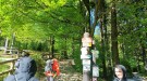 IMG20260528085646