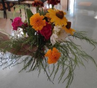1663178112149