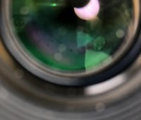 50