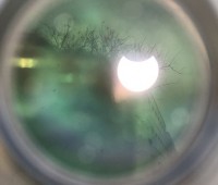 IMG_5290