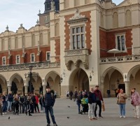 313377131_499217395596124_3957896466001704008_n