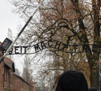 315178734_895835951403130_4856654865665435419_n