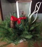 IMG_20221207_085231_resized_20221208_071503354