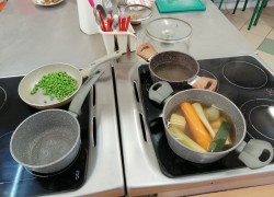 IMG_20230126_091751_resized_20230126_030414532