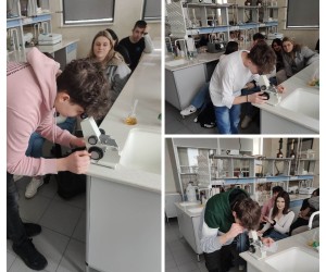 339377223_610090027418385_5911667769763070150_n