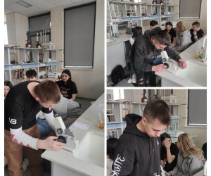 339410186_158542090488354_5226483384377787563_n