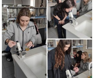 339653747_910509876895251_4436170231952497610_n