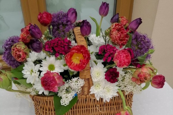 345248046_1333391343877680_1927787527548304439_n