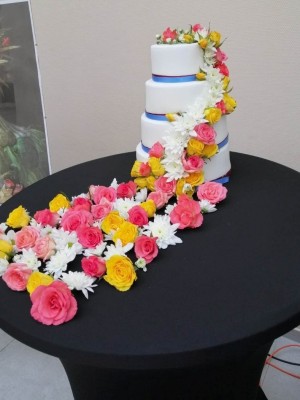 343095807_160142136823520_1904162570910658513_n