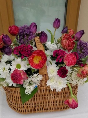 345248046_1333391343877680_1927787527548304439_n