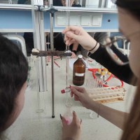 44d0a06f-4c73-4761-8830-90a7e56f6a08