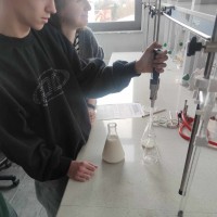 72234e9c-029b-4b88-ae25-4a253d096f4d