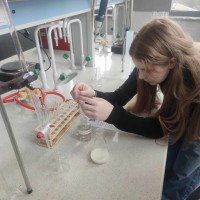 9aeea030-711f-4658-a967-85c9ea469ab9