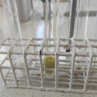 d9a5b2f6-24f6-4abe-908e-157c1363b878