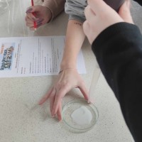 ef420bfe-0a7d-4dae-98e6-51248bb71273