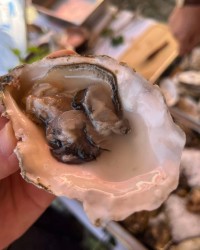 456882451_2482163918639056_7562331943314330816_n