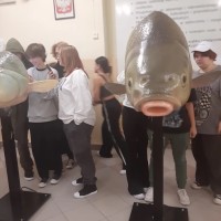 img_19_1729255620655