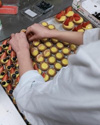 Multimedia__5_