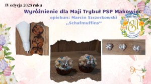 IV edycja 2025 roku_page-0007