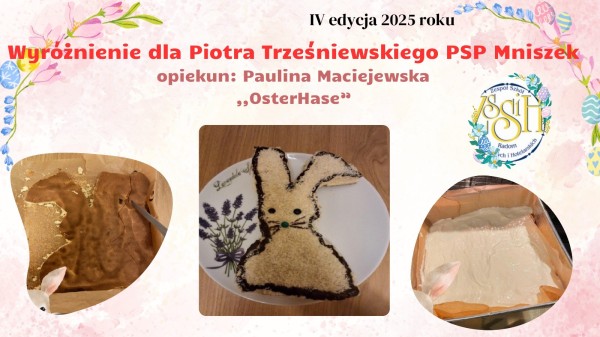 IV edycja 2025 roku_page-0003