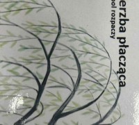 7b0f7f4b-aa95-48a5-859a-423a5ccc7ef6